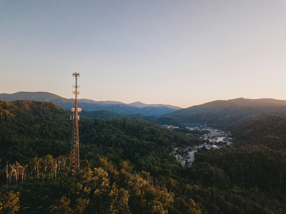 Remote telecom tower site in a forest